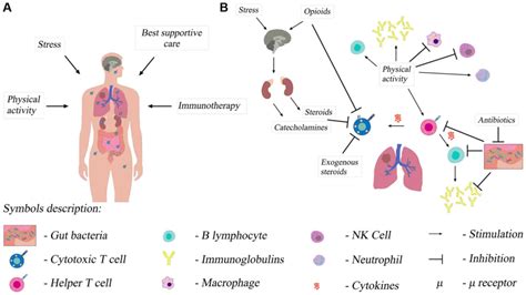 Early palliative care of non‑small cell lung cancer in the context of ...