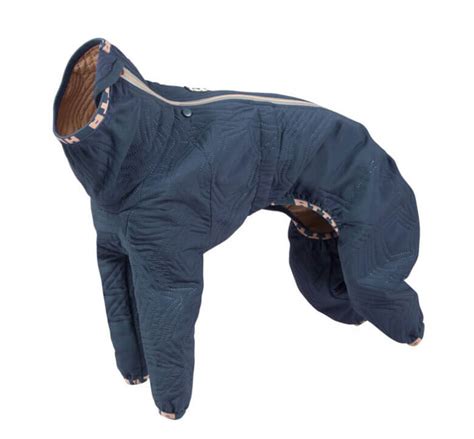 Brrr! Check Out the 8 Best Dog Winter Coats