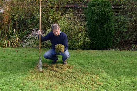 Scarifying your lawn (video guide) - gardenersworld.com