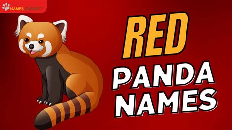 Red Panda Names [300+ Adorable & Unique Ideas]