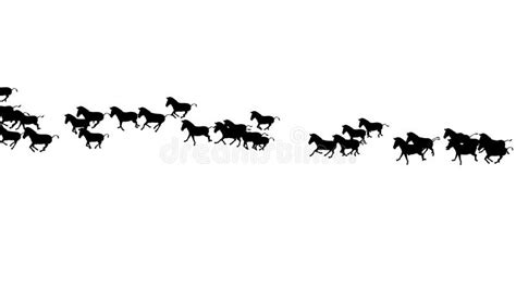 4k Group Horse Donkeys Animal Silhouette Migration Run,grassland Nature ...