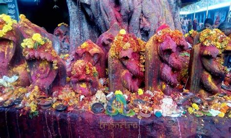 Rahu Ketu Pooja - Temples, Darshan Timings,Ticket cost, Benefits