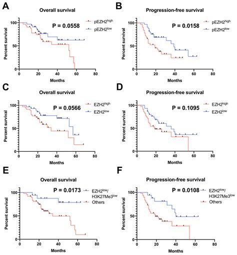 EZH2/H3K27Me3 and phosphorylated EZH2 predict chemotherapy response and ...