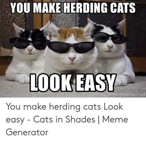 Pin by Elizabeth Cutts on cats | Herding cats, Shade meme, Cats