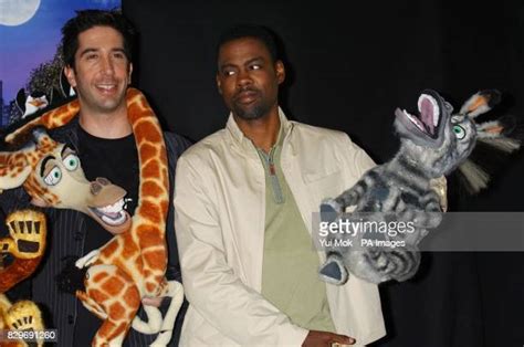 414 Schwimmer Madagascar Photos & High Res Pictures - Getty Images