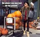 45 Funny Fall Memes for Autumn