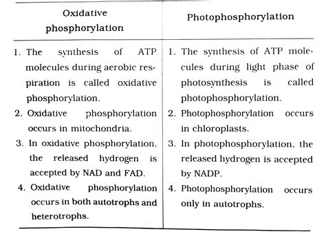 Photophosphorylation Vs Oxidative Phosphorylation