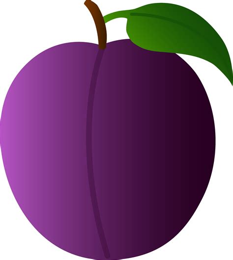 Real plum clipart 20 free Cliparts | Download images on Clipground 2024