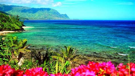 Hawaii Beach Background Zoom, Zoom Backgrounds HD Wallpaper Pxfuel | atelier-yuwa.ciao.jp