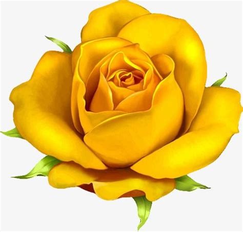 Free Flowers Buckle Creative Rose Yellow Rose