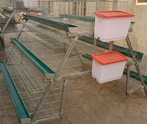 Poultry Farming Equipment You Need For Smooth Production