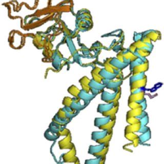 Protein prediction model based on I-Tasser. Predicted protein structure ...