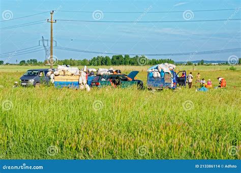 Gypsy Camp in Dorobantu - Romania Editorial Stock Image - Image of home ...