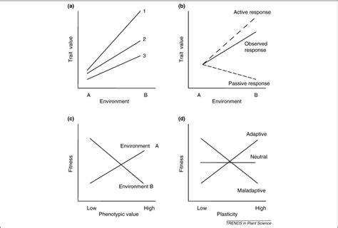 Plant phenotypic plasticity in a changing climate: Trends in Plant Science