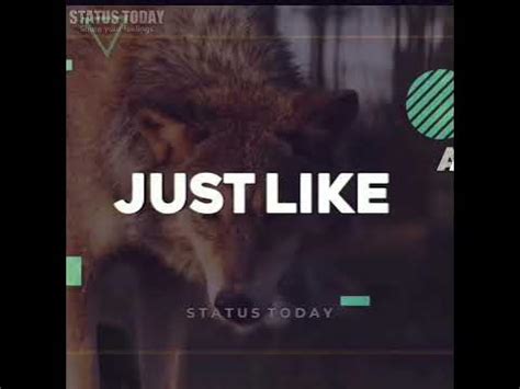 Just like Animals song - YouTube