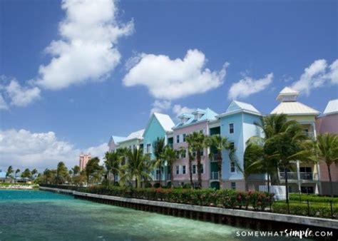 Best 5 Things To Do In Freeport Bahamas - Somewhat Simple