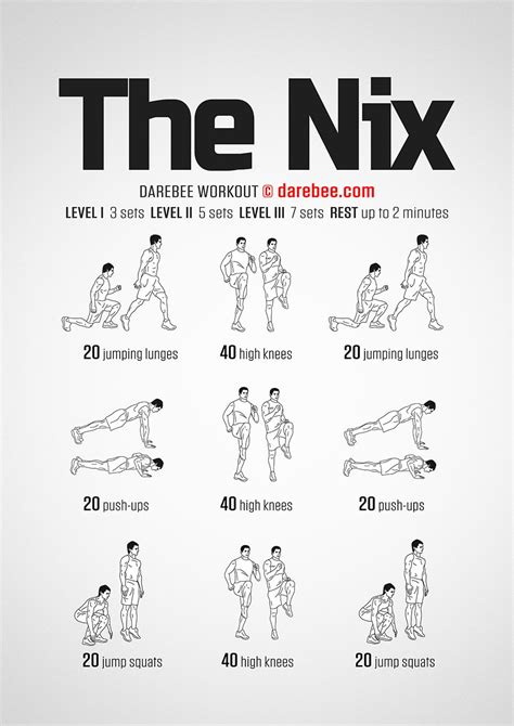 The Nix Workout | Basic gym workout, Workout, Gym workout tips