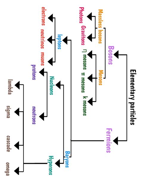 Classification of elementary particles.