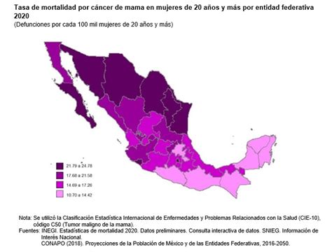 El Cáncer de mama: una tragedia que puede evitarse - Mexico Social