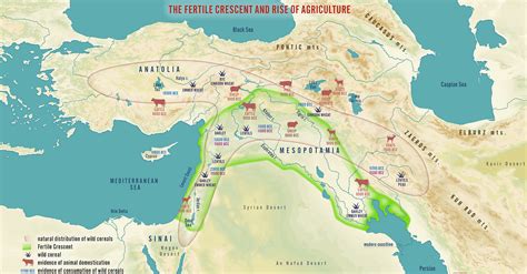 Dynamics of the Neolithic Revolution - World History Encyclopedia