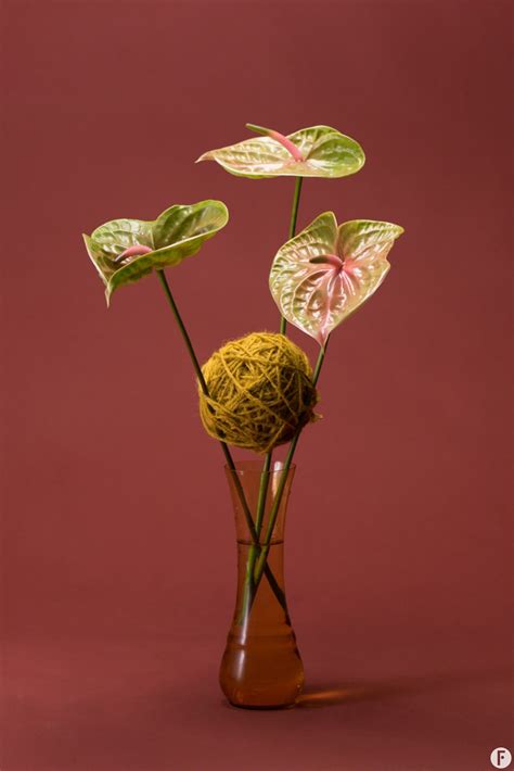 cut Anthurium arrangement ideas | Flower Factor