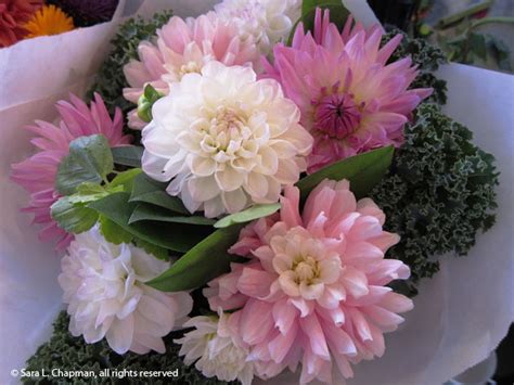 Pink dahlia bouquet | Sara's Fave Photo Blog