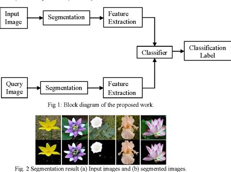 Figure 2 from Flower Classification Using Neural Network Based Image Processing | Semantic Scholar