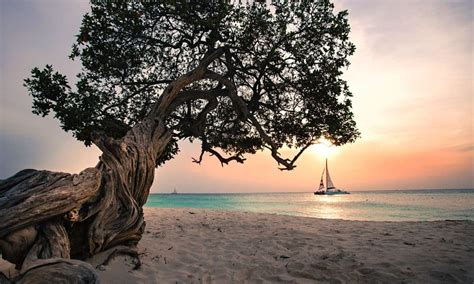 TOP 11 Best Sunset Cruises in Aruba for 2024