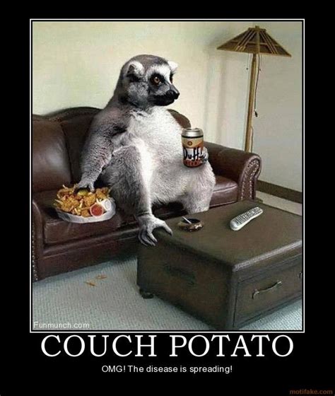 couch potato lemur humor | 面白い動物, 動物, おもしろ画像