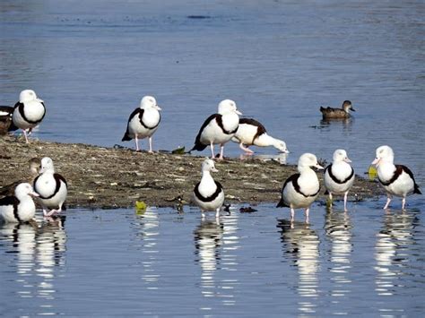 St Lawrence Wetlands - best camping between Sarina and Rocky - Travel Spiced Life