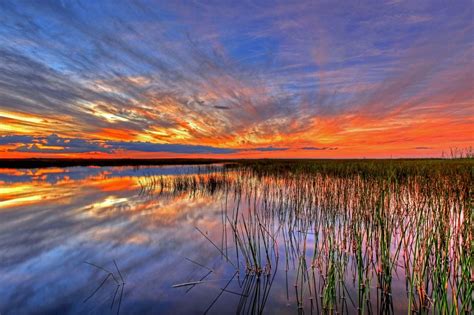 Everglades National Park Travel Costs & Prices - Airboats, Hiking, & Bird Watching ...