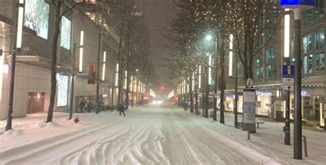 20 shots of what Vancouver looks like after Tuesday's snowstorm | News