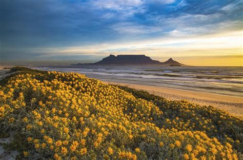 Table Mountain National Park (Official GANP Park Page)