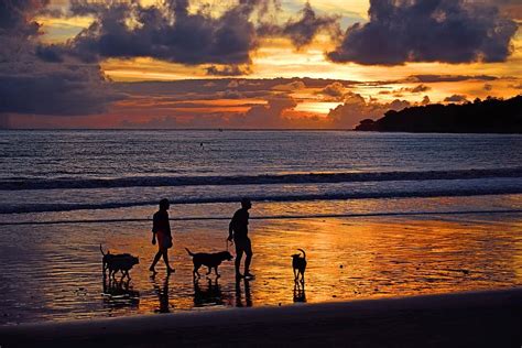 jimbaran beach, jimbaran, indonesia, bali, sunset, family, friends, dog, frolick, leisure, coast ...