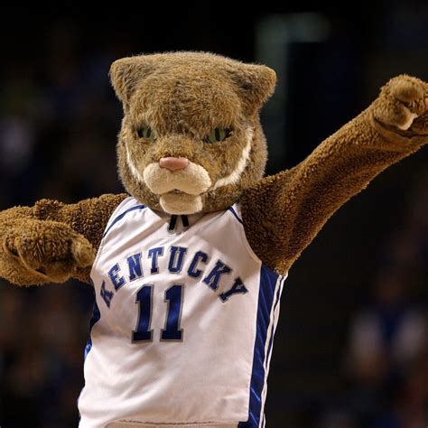 10 New Kentucky Wildcats Mascot Pictures FULL HD 1920×1080 For PC Desktop 2024