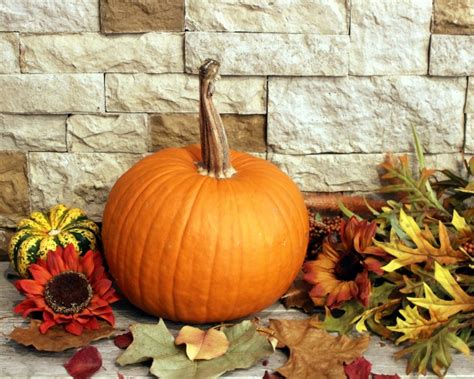 Pumpkin Fall Decor Free Stock Photo - Public Domain Pictures