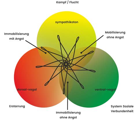 Polyvagal-Theorie