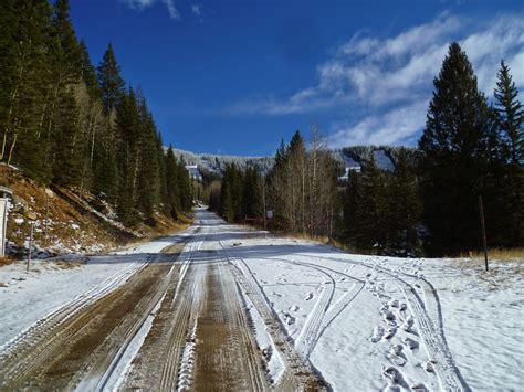 ZOOTHERA BIRDING BLOG: New Mexico - Santa Fe