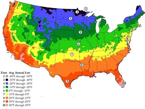 Here is the BEST Time to Plant Sage in Hardiness Zone 9 (2023) - The ...