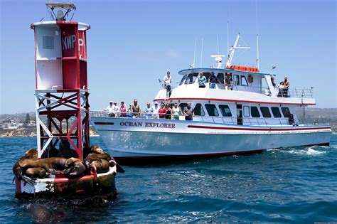 Image #/6: - Newport Landing Whale Watching - Newport Beach, California | RealAdventures