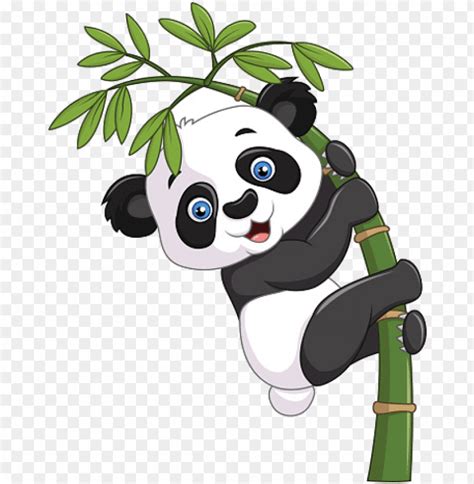 Free download | HD PNG baby panda climbing bamboo tree gambar panda PNG ...