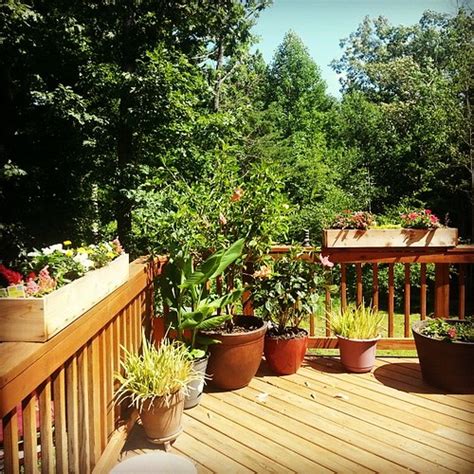 How To Decor Deck? Complete Guide!