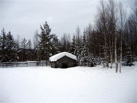 Lapland/Finland in winter 2 Free Photo Download | FreeImages