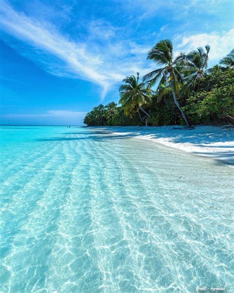 Tropics 🏝 on Twitter | Beach photos, Tropical beaches, Beautiful beaches