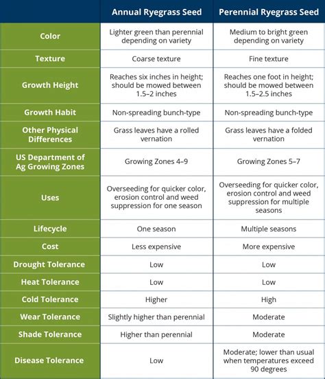 Annual vs. Perennial Ryegrass Seed - Batang Tabon