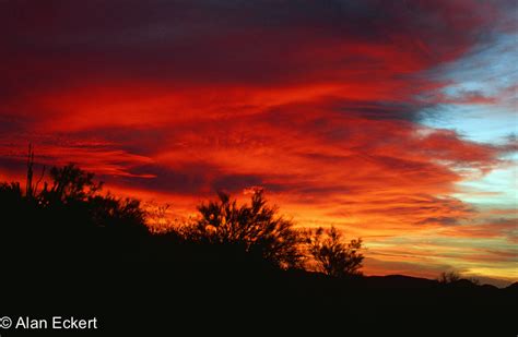 Sunset, Organ Pipe Cactus NM | Alan Eckert Photography