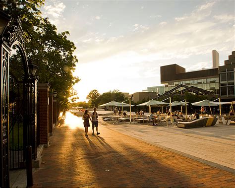 Summer Courses for Adult and College Students | Harvard Summer School