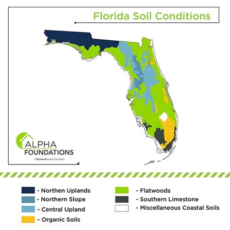 What You Need to Know About Florida’s Soil - Alpha Foundations