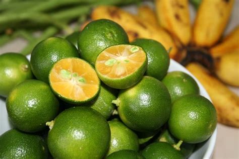 The Fresh Factor: Calamansi Paradise | Calamansi, Sweet potato leaves, Calamansi juice