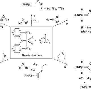 Selected examples of typical carbene ligands a | Download Table